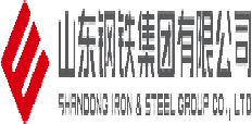山东钢铁集团